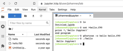 Jupyter terminal